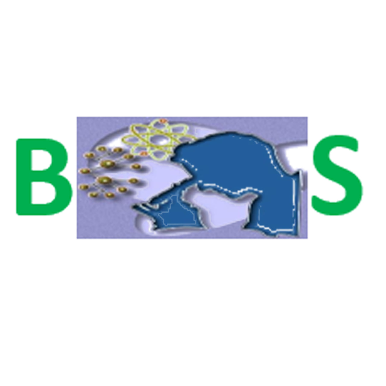 Bshaw Trading Logo