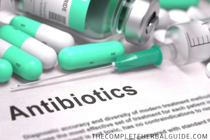 Bshaw General Trading - Global Trade Solutions